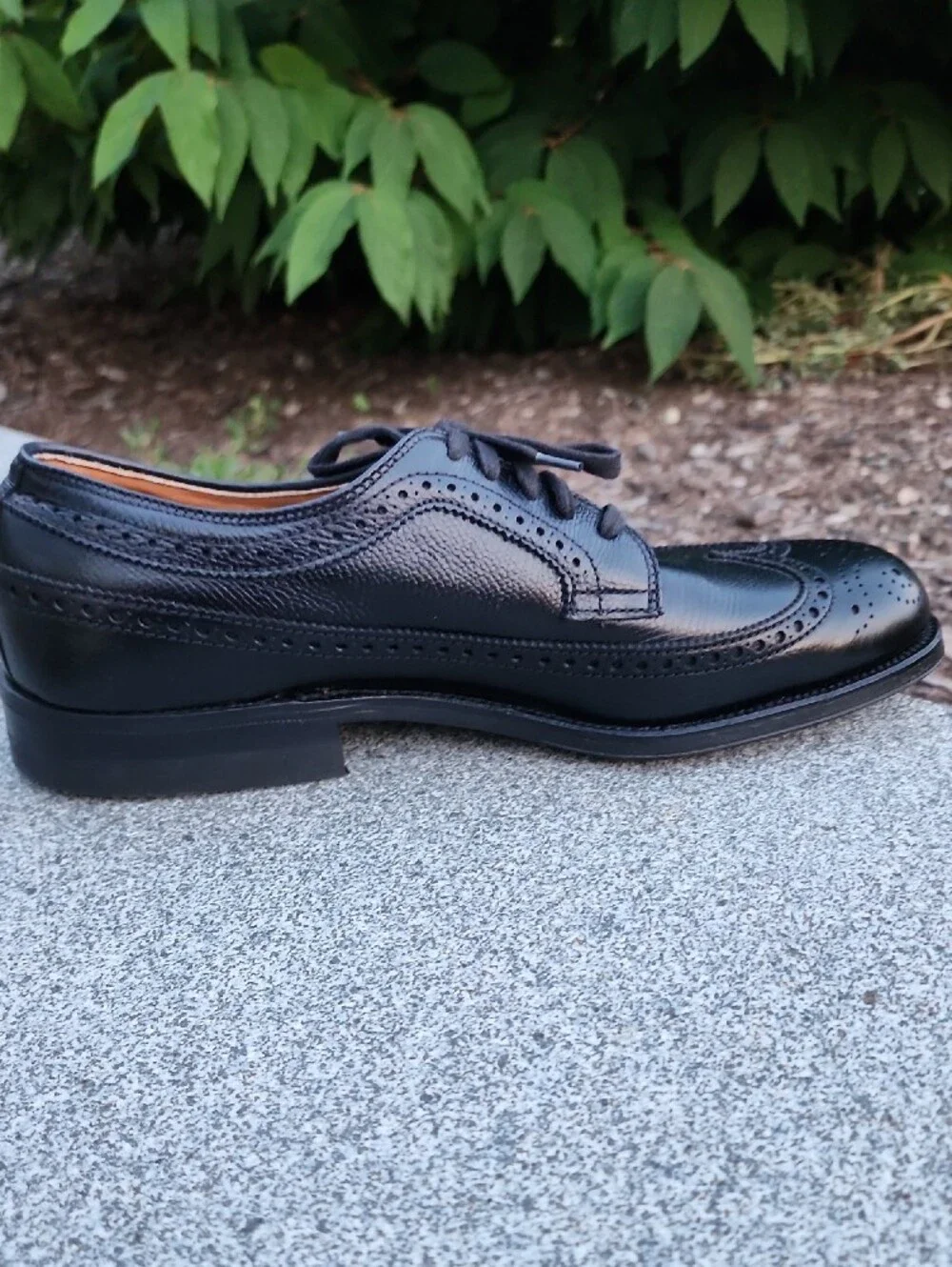 Alden 679 Black Alpine Grain Long Wing Blucher Shoes 7.5 D